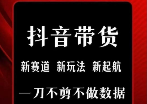 抖音短视频一刀不剪带货，不剪辑，不直播，每天发个视频，等着出单获取带货佣金-保成圈-山云人力,分享创业咨询_最新网络项目资源