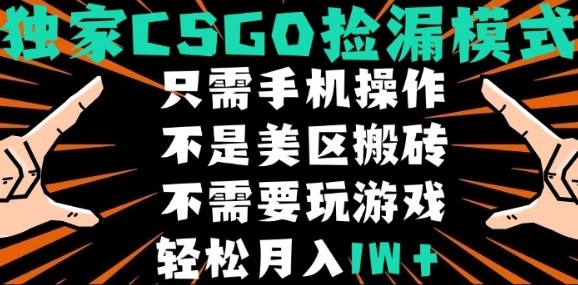CSGO自动捡漏项目，最新独家玩法，不是美区搬砖，不需要了解和玩游戏，新手小白轻松月入1W+【揭秘】-保成圈-山云人力,分享创业咨询_最新网络项目资源