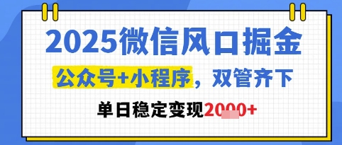 2025微信风口掘金，公众号+小程序双管齐下，单日稳定变现1k+【揭秘】-保成圈-山云人力,分享创业咨询_最新网络项目资源