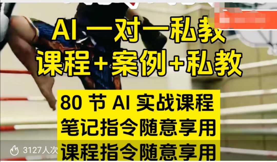 AI指令实战课，课程+案例，80节AI实战课程，笔记指令随意享用，课程指令随意享用(更新7月)-保成圈-山云人力,分享创业咨询_最新网络项目资源