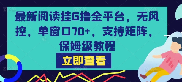 最新阅读挂G撸金平台，无风控，单窗口70+，支持矩阵，保姆级教程【揭秘】-保成圈-山云人力,分享创业咨询_最新网络项目资源