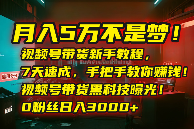 月入5万不是梦！视频号带货新手教程，7天速成，手把手教你赚钱！视频号…-保成圈-山云人力,分享创业咨询_最新网络项目资源