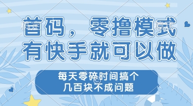首码零撸项目，有快手就可以做，每天业务时间搞个几张不是问题【揭秘】-保成圈-山云人力,分享创业咨询_最新网络项目资源