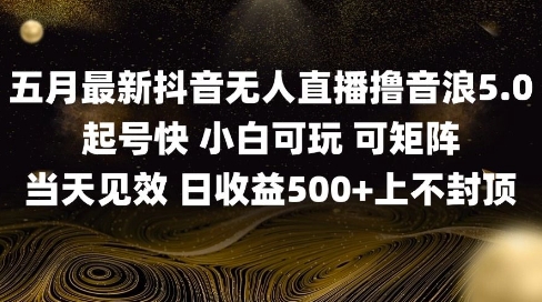 2025五月最新无人直播撸音浪单日产出5张+实操教程【揭秘】-保成圈-山云人力,分享创业咨询_最新网络项目资源