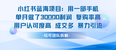 小红书蓝海项目，一部手机单月做了3W利润，小白也能月入过1W用户认可度高成交多-保成圈-山云人力,分享创业咨询_最新网络项目资源