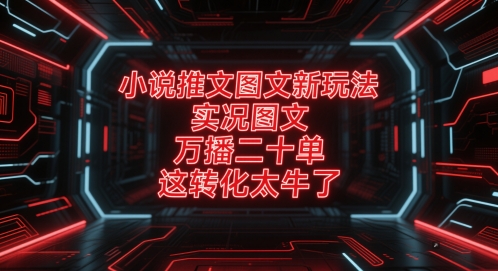 小说推文图文新玩法，实况图文，万播二十单，这转化太牛了！-保成圈-山云人力,分享创业咨询_最新网络项目资源