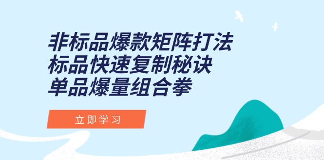 非标品爆款矩阵打法，标品快速复制秘诀，单品爆量组合拳-保成圈-山云人力,分享创业咨询_最新网络项目资源