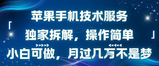 苹果手机技术服务，独家拆解，操作简单，小白可做，月过1W不是梦-保成圈-山云人力,分享创业咨询_最新网络项目资源