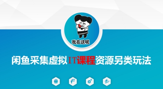 闲鱼采集虚拟IT课程资源另类玩法，干货满满-保成圈-山云人力,分享创业咨询_最新网络项目资源