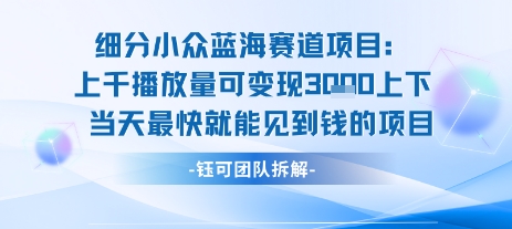 小众蓝海赛道项目：当天变现1k+适合新手操作 +适合长期玩-保成圈-山云人力,分享创业咨询_最新网络项目资源