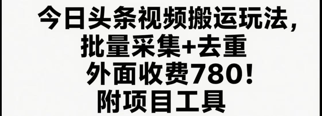 今日头条视频搬运玩法，软件一键去重，轻松日入500+附项目工具-保成圈-山云人力,分享创业咨询_最新网络项目资源