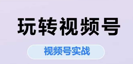 玩转视频号，视频号实战系列课-保成圈-山云人力,分享创业咨询_最新网络项目资源