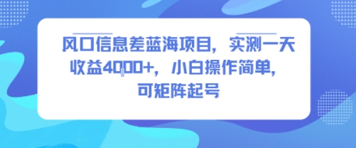 风口信息差蓝海项目，实测一天收益4k+，小白操作简单，可矩阵起号-保成圈-山云人力,分享创业咨询_最新网络项目资源