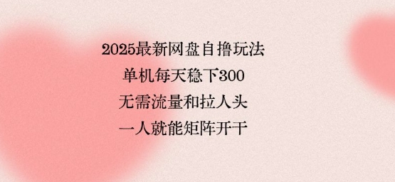 2025最新网盘自撸玩法，单机每天稳下3张，无需流量和拉人头，一个人就可轻松矩阵，全网独一份【揭秘】-保成圈-山云人力,分享创业咨询_最新网络项目资源