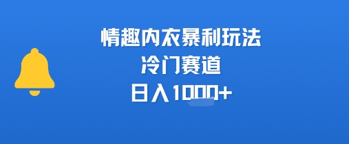 情趣内衣暴利玩法，冷门赛道，日入1k+-保成圈-山云人力,分享创业咨询_最新网络项目资源