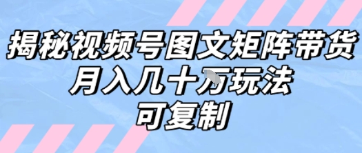 解密视频号图文矩阵带货，月入几个W的打法，可复制-保成圈-山云人力,分享创业咨询_最新网络项目资源