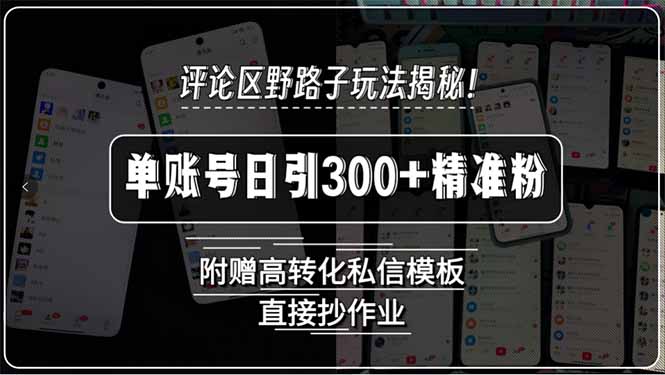 评论区野路子玩法揭秘！单账号日引300+精准粉，附赠高转化私信模板，直…-保成圈-山云人力,分享创业咨询_最新网络项目资源